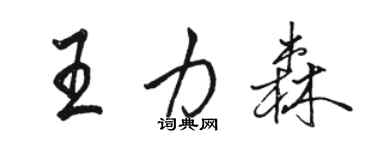 骆恒光王力森行书个性签名怎么写