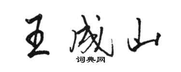 骆恒光王成山行书个性签名怎么写