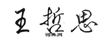 骆恒光王哲思行书个性签名怎么写
