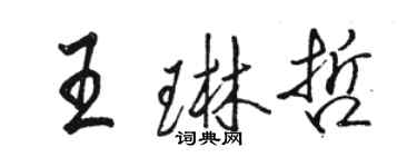 骆恒光王琳哲行书个性签名怎么写