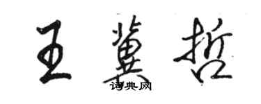 骆恒光王冀哲行书个性签名怎么写