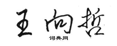 骆恒光王向哲行书个性签名怎么写