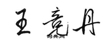 骆恒光王竞丹行书个性签名怎么写