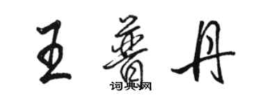 骆恒光王普丹行书个性签名怎么写