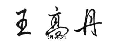 骆恒光王高丹行书个性签名怎么写