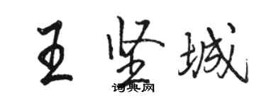 骆恒光王坚城行书个性签名怎么写