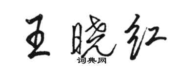 骆恒光王晓红行书个性签名怎么写
