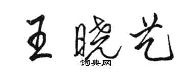 骆恒光王晓艺行书个性签名怎么写