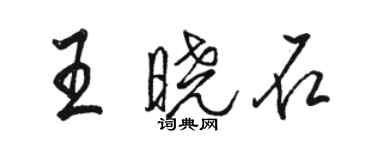 骆恒光王晓石行书个性签名怎么写