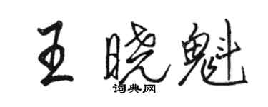 骆恒光王晓魁行书个性签名怎么写