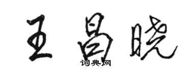 骆恒光王昌晓行书个性签名怎么写