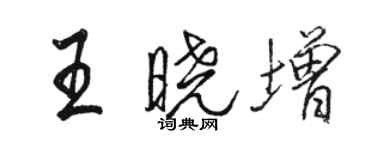 骆恒光王晓增行书个性签名怎么写