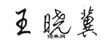 骆恒光王晓冀行书个性签名怎么写