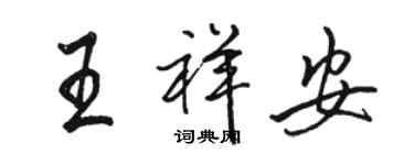 骆恒光王祥安行书个性签名怎么写