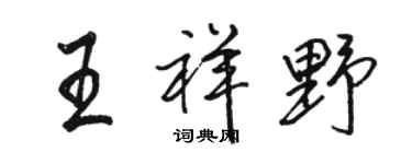 骆恒光王祥野行书个性签名怎么写
