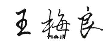 骆恒光王梅良行书个性签名怎么写