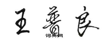 骆恒光王普良行书个性签名怎么写