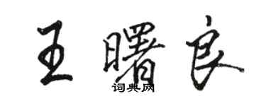 骆恒光王曙良行书个性签名怎么写