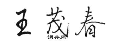 骆恒光王茂春行书个性签名怎么写