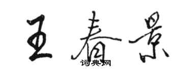 骆恒光王春景行书个性签名怎么写