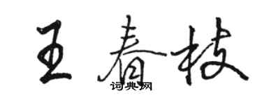 骆恒光王春枝行书个性签名怎么写