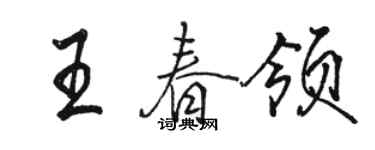 骆恒光王春领行书个性签名怎么写
