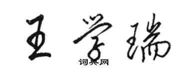 骆恒光王学瑞行书个性签名怎么写
