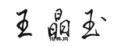 骆恒光王晶玉行书个性签名怎么写