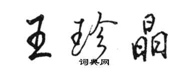 骆恒光王珍晶行书个性签名怎么写