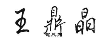 骆恒光王鼎晶行书个性签名怎么写