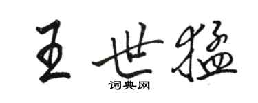 骆恒光王世猛行书个性签名怎么写