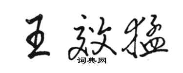 骆恒光王效猛行书个性签名怎么写
