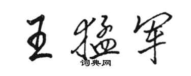 骆恒光王猛军行书个性签名怎么写