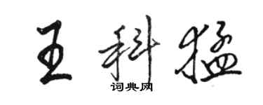 骆恒光王科猛行书个性签名怎么写