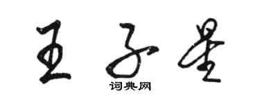 骆恒光王子星行书个性签名怎么写
