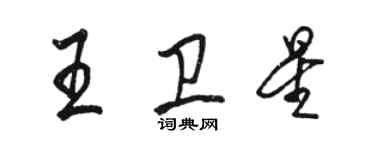 骆恒光王卫星行书个性签名怎么写