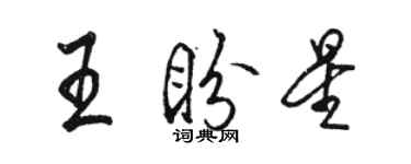 骆恒光王盼星行书个性签名怎么写