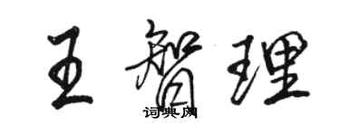 骆恒光王智理行书个性签名怎么写