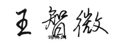骆恒光王智微行书个性签名怎么写