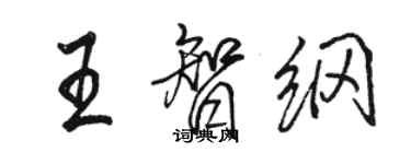 骆恒光王智纲行书个性签名怎么写