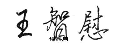 骆恒光王智慰行书个性签名怎么写