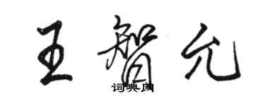 骆恒光王智允行书个性签名怎么写