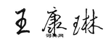 骆恒光王康琳行书个性签名怎么写