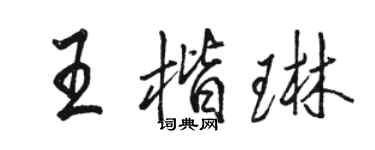 骆恒光王楷琳行书个性签名怎么写