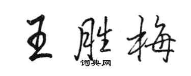骆恒光王胜梅行书个性签名怎么写