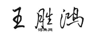 骆恒光王胜鸿行书个性签名怎么写