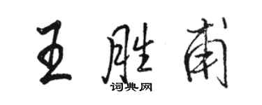 骆恒光王胜甫行书个性签名怎么写