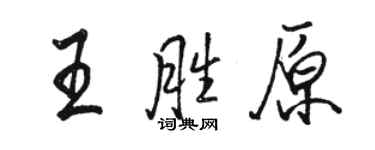 骆恒光王胜原行书个性签名怎么写