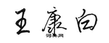 骆恒光王康白行书个性签名怎么写