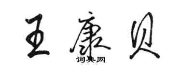骆恒光王康贝行书个性签名怎么写
